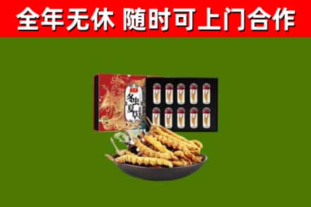 保亭县烟酒回收冬虫夏草礼盒.jpg