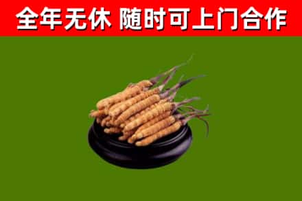 保亭县烟酒回收冬虫夏草.jpg